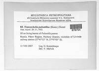 Tranzschelia pulsatillae image